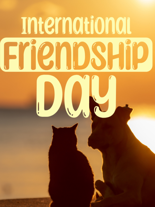 INTERNATIONAL FRIENDSHIP DAY